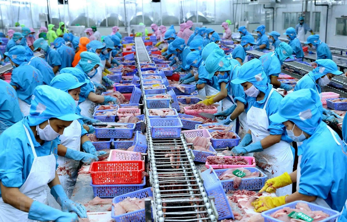 Các ngành nghề xuất khẩu vẫn tăng trưởng đáng kể tại thị trường Việt Nam
